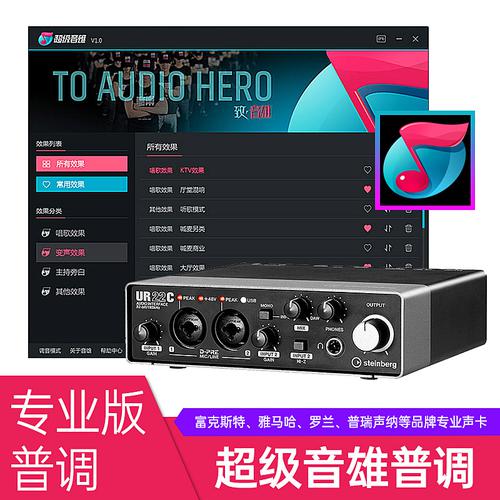 聚龙高新(INGPING) 【专业版】超级音雄声卡普调（维护三个月）